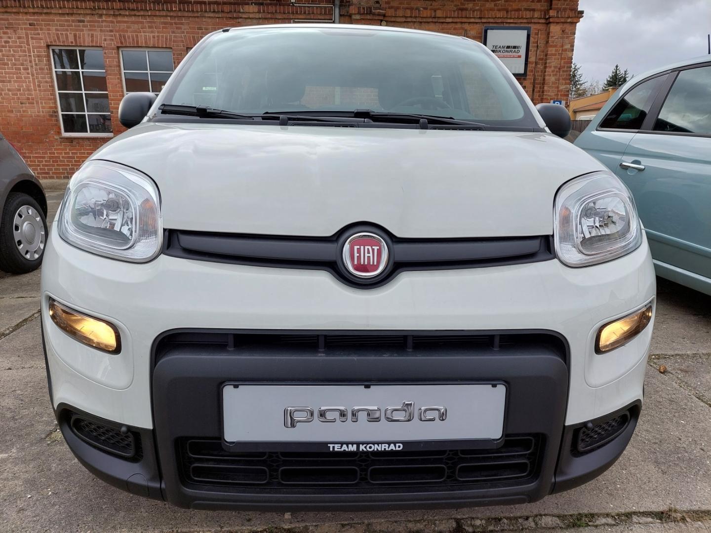 Fiat Panda 1.0 Pandina DAB Spurhalteass. Verkehrszeic