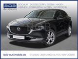 Mazda CX-30 2,5 e-SKYACTIV G 140 Exclusive-Line HUD - Mazda CX-30 in Wuppertal