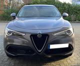 Alfa Romeo Stelvio 2.0 Turbo 206kW First Edition Q4 AT - Alfa Romeo Stelvio First-Edition mit Benzin-Antrieb