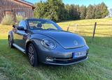 Volkswagen Beetle 1.4 TSI DSG, AHK, Led., Nav. Xen., Kam., - graue Volkswagen Beetle
