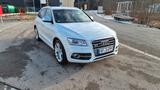 Audi SQ5 3.0 TDI competition tiptronic quattro - - Audi SQ5 mit Diesel-Antrieb: Luftfederung