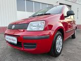 Fiat Panda 1.2 8V 51kW 69PS MyLive/Klima/2.Hand/Euro5 - Fiat Panda in Hagen