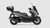 Honda Forza 125