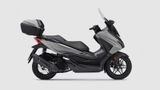 Honda Forza 125 Special Edition (MJ2025) - Offers matching your search criteria