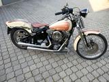 Harley-Davidson FXSTS Springer Softail - HARLEY-DAVIDSON FXSTS