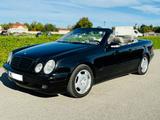 Mercedes-Benz CLK 320 ELEGANCE W208 CABRIO - Mercedes-Benz CLK 320 in München