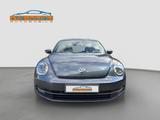 Volkswagen Beetle 1.2 TSI - 105 PS * Design * - mit Benzin-Antrieb: Coupe, Sitzheizung