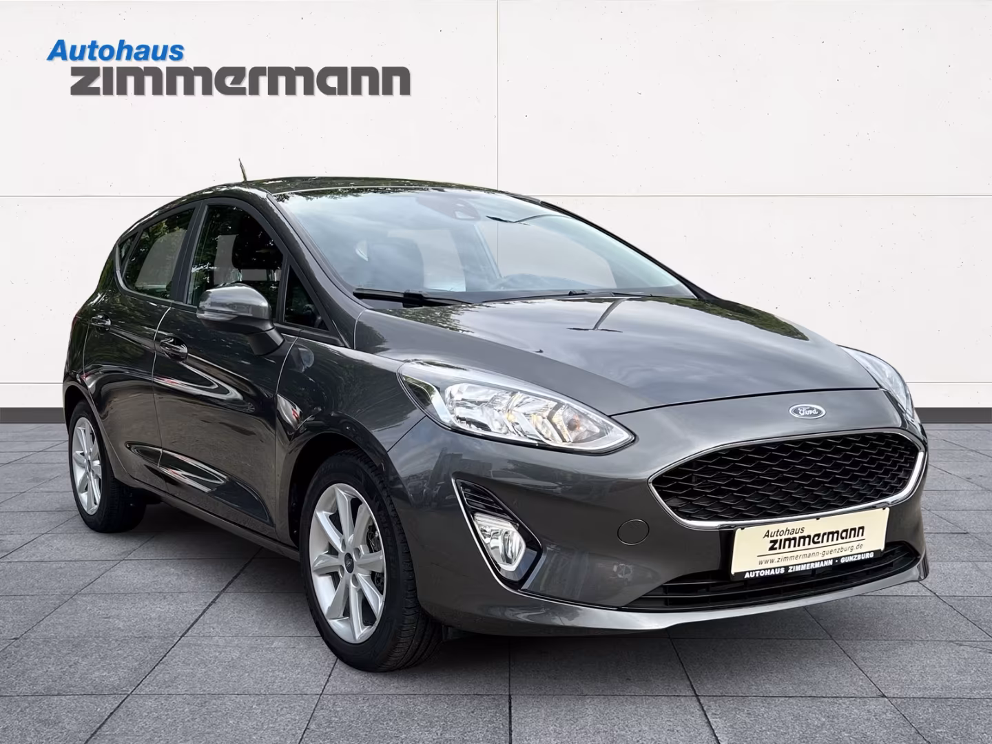 Ford Fiesta Cool & Connect Spurhalteass. PDC Berganfa