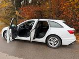 Audi A4 40 TDI S tronic advanced Avant advanced - Audi A4 Advanced mit Hybrid-Antrieb (Diesel-Elektro)