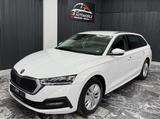 Skoda Octavia Combi Selection 2.0 TDI Automatik - Skoda Octavia aus 2024