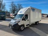 Fiat Ducato 250 Maxi L4 Dhollandia Hebebühne - Fiat Ducato l 250