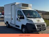Fiat Ducato Mit Thermoking  V-500 Max TC