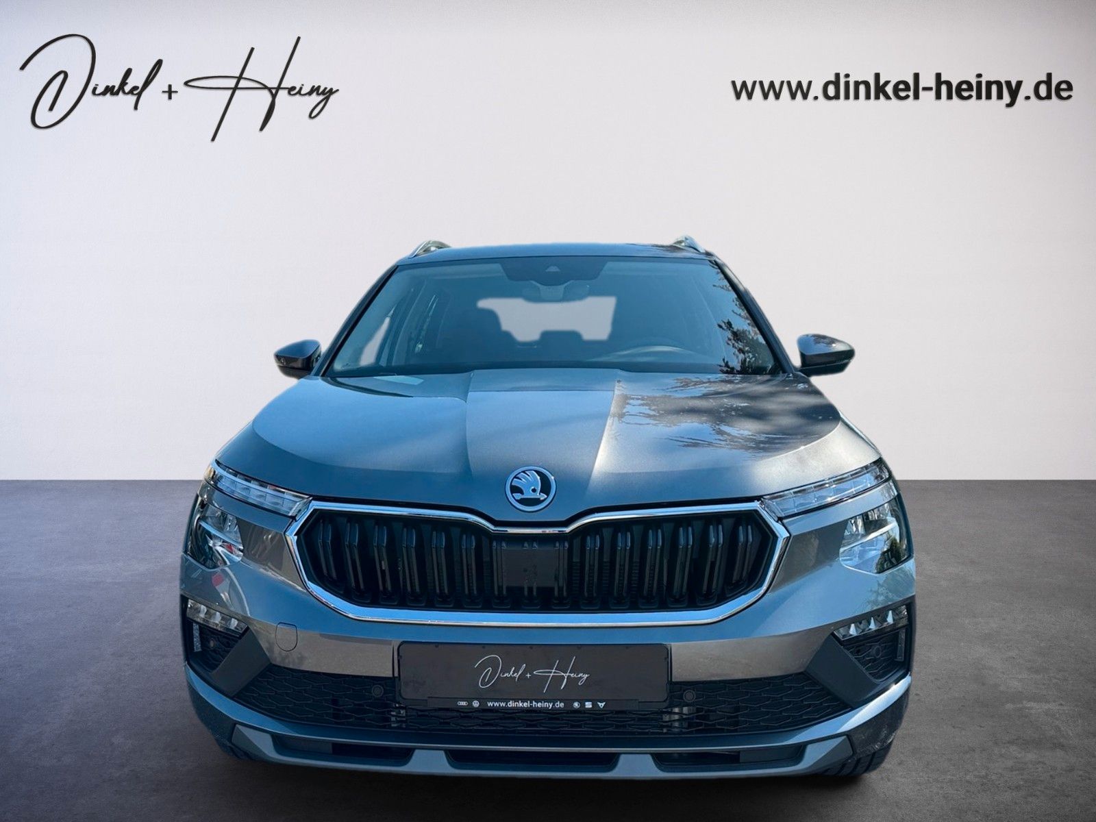 Fahrzeugabbildung SKODA Kamiq Selection 1.5TSI