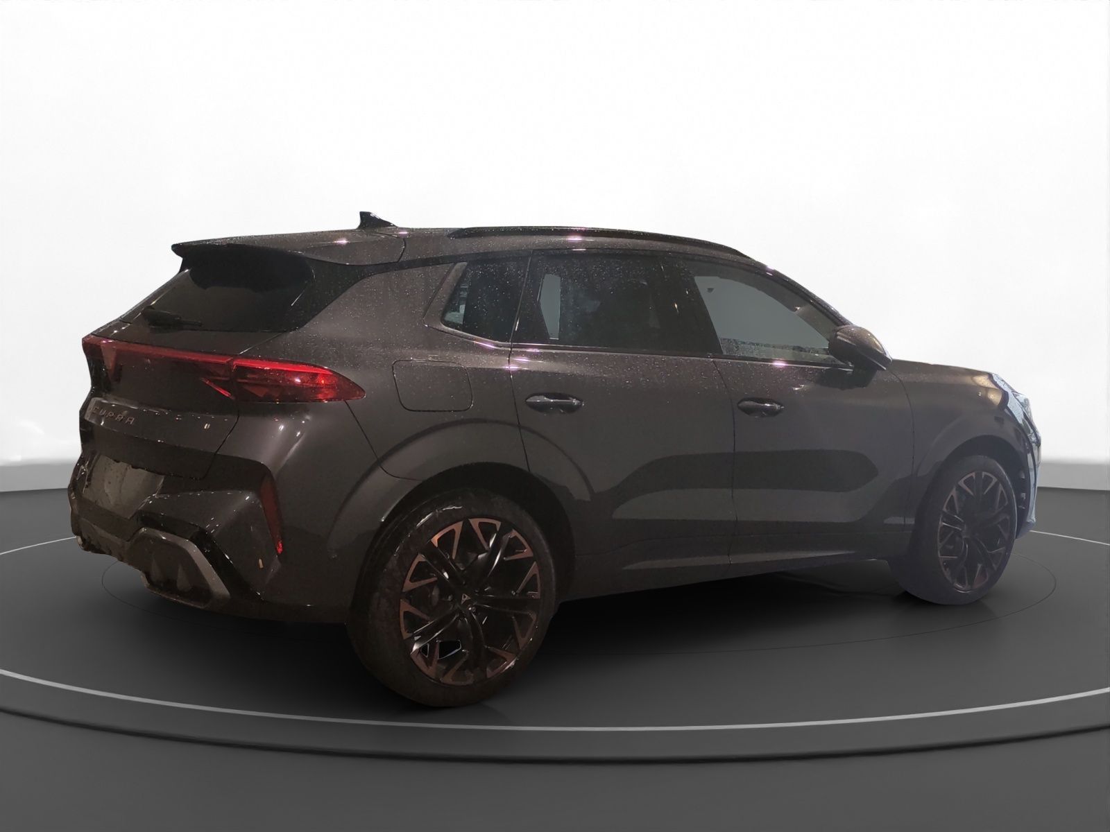 Cupra Terramar - Bild 3