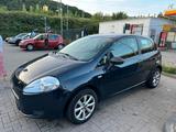 Fiat punto 246.000km 1.2 - Fiat Punto in Hagen