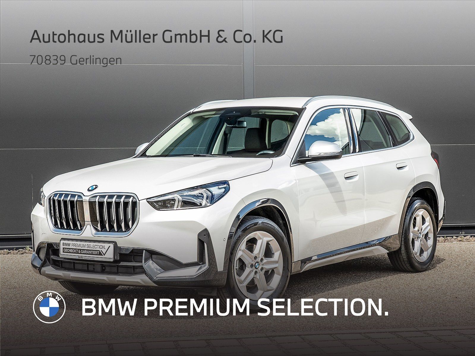 BMW X1 xDrive20d xLine ACC Sportsitz SH AdaptLED DAB