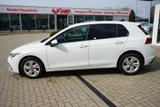 Volkswagen Golf VIII 1.5 16V TSI Life LED Klimaaut. ACC PDC - Volkswagen Golf: 1.5