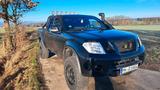 Nissan Navara 2.5, D40, King Cab, TÜV 10/27 - Nissan King Cab: Geländewagen
