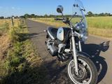BMW R850R - MOTORRAD AUS DEM JAHR 2002
