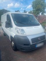 Fiat Ducato Transporter - Fiat Ducato Transporter Gebrauchtwagen