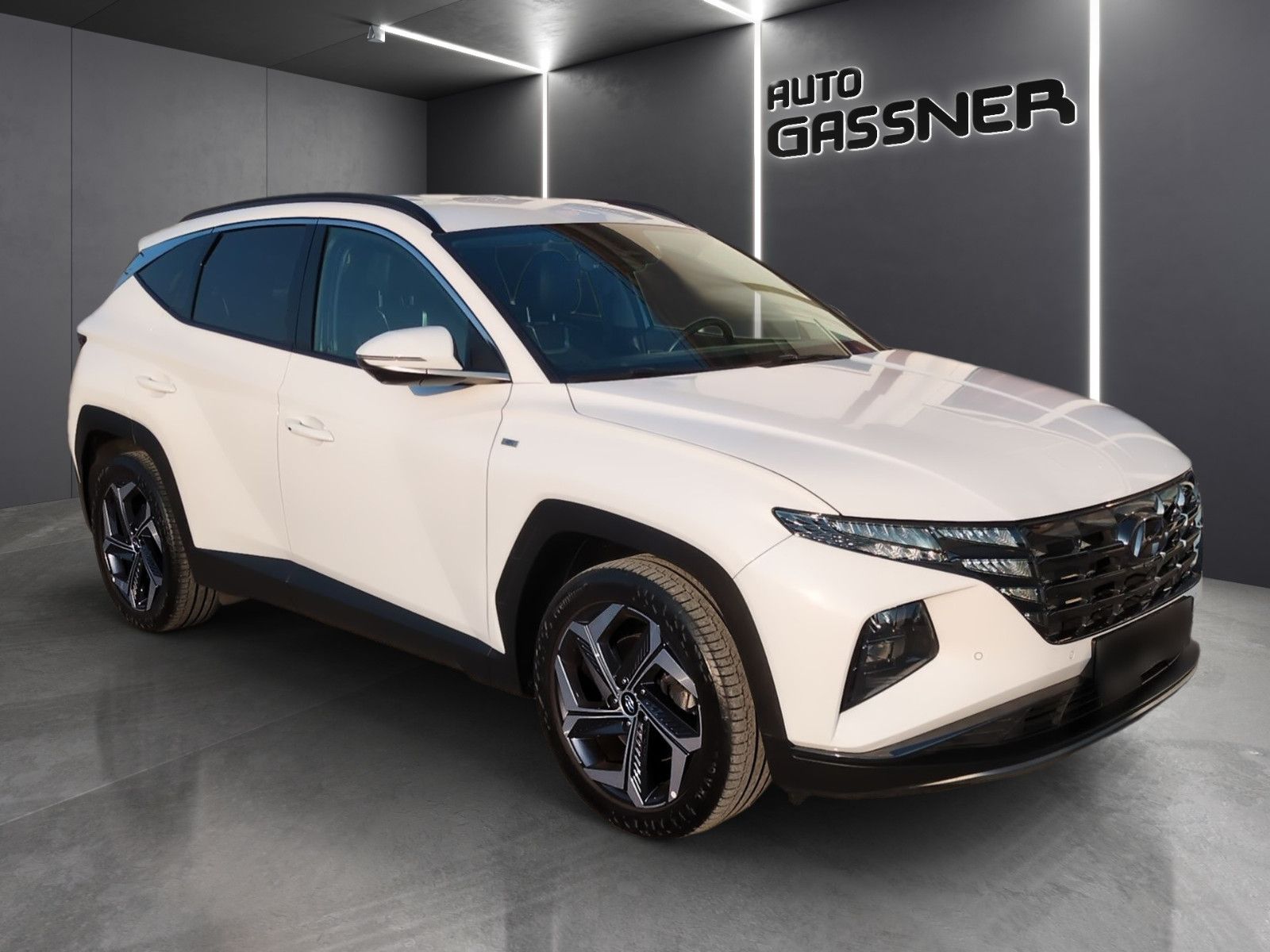 Fahrzeugabbildung Hyundai Tucson 1,6 CRDI Prime DCT 4WD Assip.+ ECS
