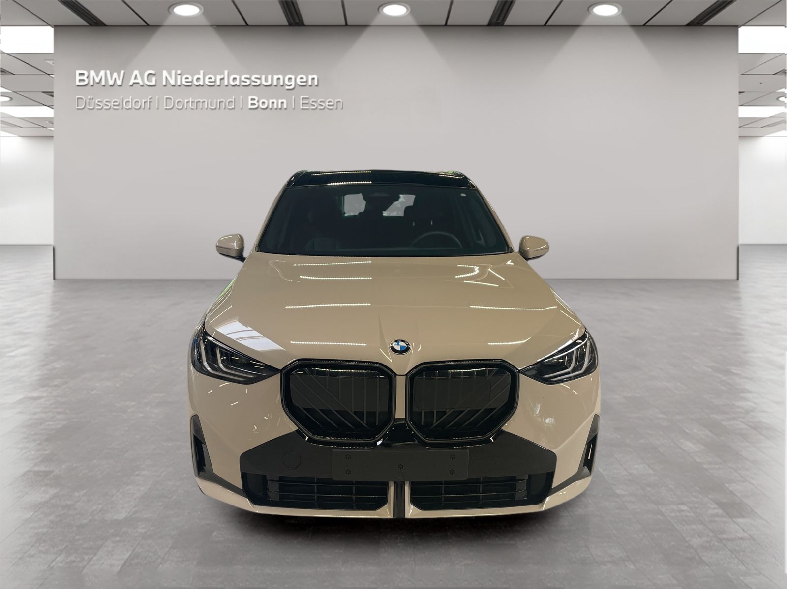 BMW X3 - Bild 8