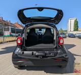 Smart ForTwo Coupe EQ*2.Hd*Temp*Shz*Leder*Garantie*TOP - Smart Gebrauchtwagen von 2022