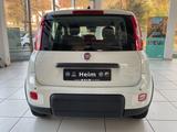 Fiat Panda 1,0 Hybrid City Paket Klimaanlage - Fiat Panda Tageszulassungen