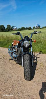 Indian Scout - Offers