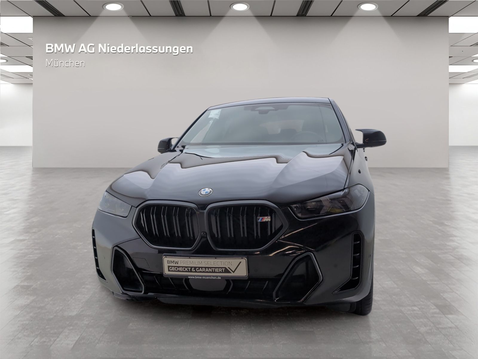 BMW X6 M60 - Bild 4