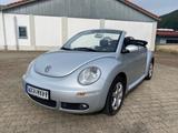 Volkswagen Beetle - Volkswagen Beetle aus 2009