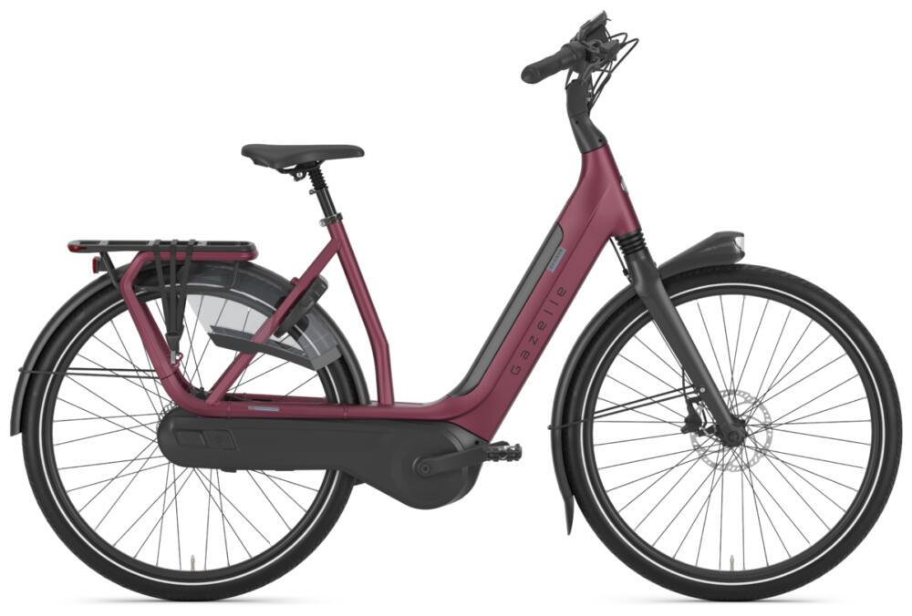 Gazelle Avignon C8 HMB Low-Step - 49cm (S)