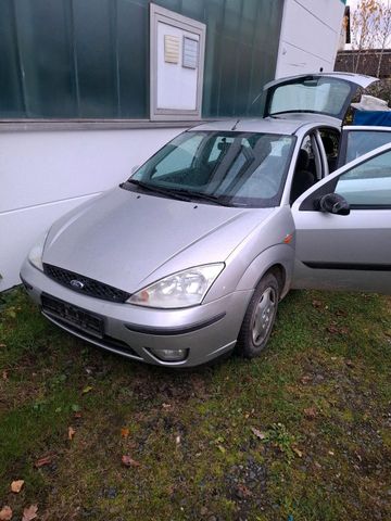 Ford Focus gebraucht