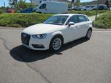 Audi A3 Sportback attraction 1.6TDI S-tronic - Audi A3: TDI Attraction