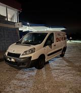 Peugeot Pegeot Expert Frischedienst - Peugeot Expert in Bochum