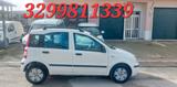 Fiat Panda DYNAMIC 1.3 MULTIJET 70CV - Fiat Panda Dynamic mit Diesel-Antrieb
