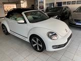 Volkswagen Beetle 1.4 TSI DSG CUP Cabriolet CUP - Volkswagen Beetle: Cup