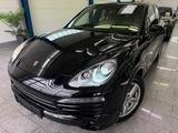 Porsche Cayenne Diesel*AUT*SPORT*BOSE*PANO*NAV*BI-XN*KAM - Porsche: Allradantrieb