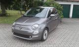 Fiat Ellenator Fiat 500 - Fiat 500 Gebrauchtwagen Fiat500