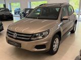 Volkswagen Tiguan Track & Field 4Motion DSG PANO AHK - Volkswagen Tiguan: Field Track