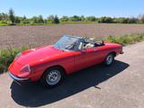 Alfa Romeo Spider 2000 Veloce Coda Tronca - gebrauchte Alfa Romeo Spider aus dem Jahr 1979