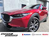 Mazda CX-30 Exclusive-Line BOSE + MATRIX + HUD Navi LE - Mazda CX-30 Gebrauchtwagen