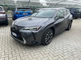 Lexus UX Hybrid 4WD Executive - Lexus UX aus 2019