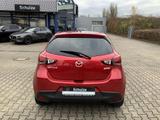 Mazda 2 SKYACTIV-G 90 Nakama Navi AHK abnehmbar - Mazda 2: Kleinwagen
