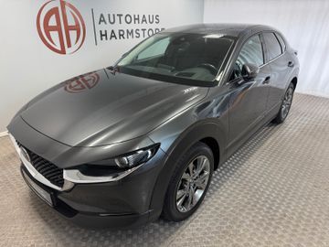 Mazda CX-30 Selection 2WD AHK Bose HeadUp Kamera