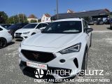 Cupra CUPRA Formentor 1.5 TSI 110 kW (150 PS) 7  [...] - Cupra Formentor Tageszulassungen