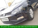 Volkswagen Polo V 75ps BMT >AC>5~doors >ALL~SERVICE - Volkswagen Polo: Ps