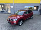Volkswagen Tiguan Life BMT/SHZ/PANORAMA/KLIMA/ALU/ - gebrauchte VW Tiguan aus dem Jahr 2013