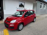 Fiat Panda 1.0 Hybrid, PDC, City Paket, 5 Sitzer, Kli - Fiat Panda: Sitzer