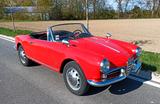 Alfa Romeo Giulietta Spider - Alfa Romeo Giulietta: Cabrio